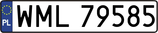 WML79585