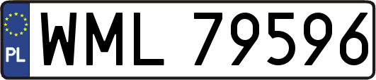 WML79596
