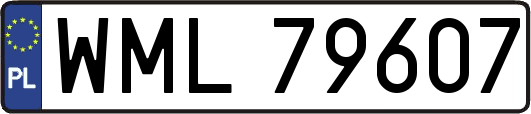WML79607