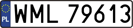 WML79613