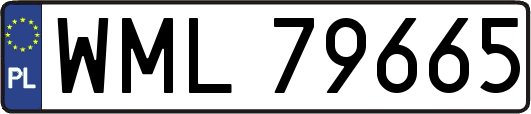 WML79665