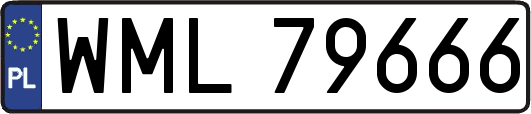 WML79666