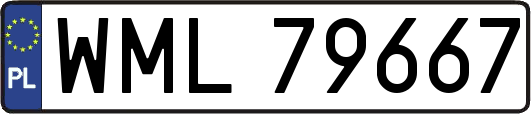 WML79667