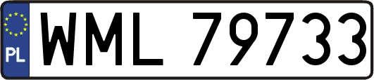 WML79733