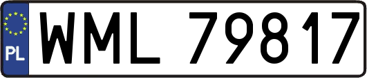 WML79817