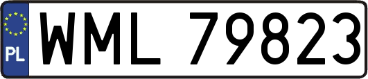 WML79823