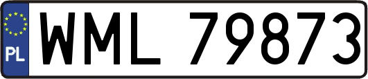 WML79873