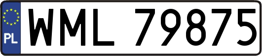 WML79875