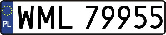 WML79955