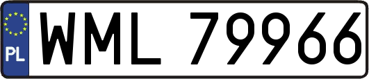 WML79966