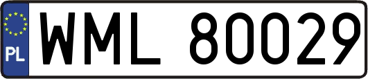 WML80029