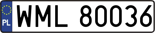 WML80036