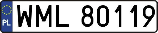 WML80119