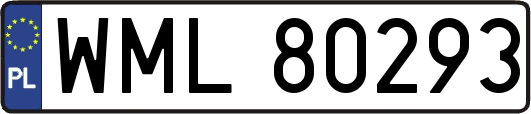 WML80293