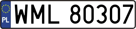WML80307