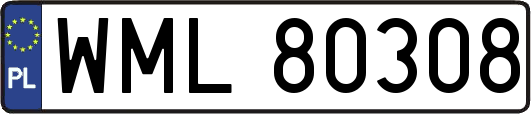 WML80308