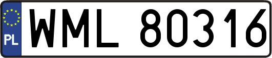 WML80316