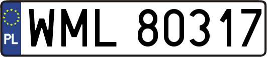 WML80317