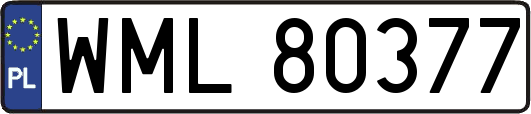 WML80377