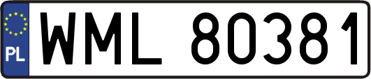 WML80381