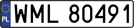 WML80491
