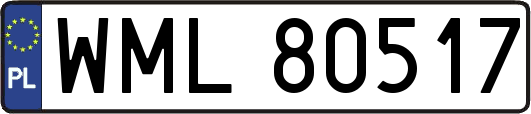 WML80517