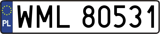 WML80531