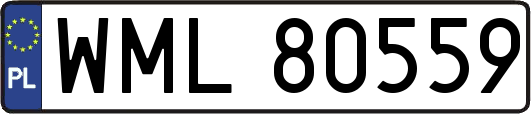 WML80559