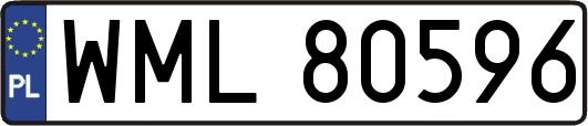 WML80596