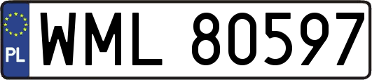WML80597