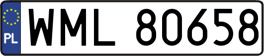 WML80658