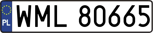 WML80665