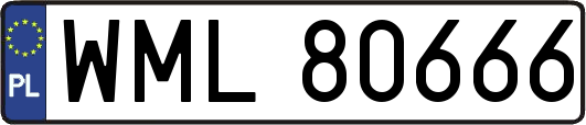 WML80666