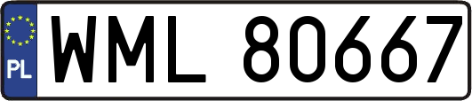 WML80667