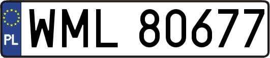 WML80677