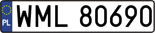 WML80690