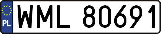 WML80691