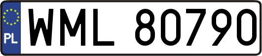 WML80790
