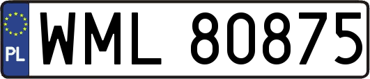 WML80875
