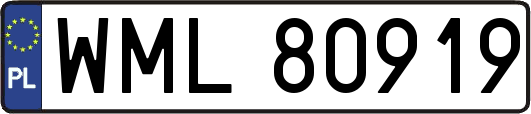 WML80919