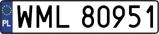 WML80951