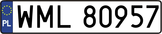 WML80957