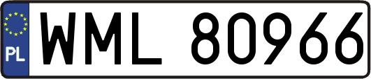 WML80966