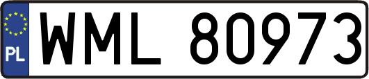 WML80973