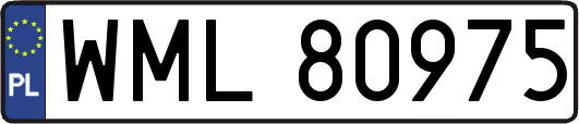 WML80975
