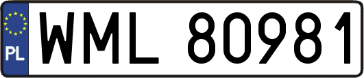 WML80981