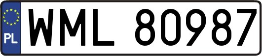 WML80987