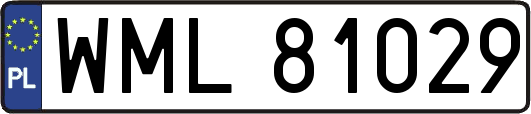 WML81029