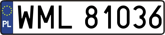 WML81036