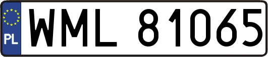 WML81065